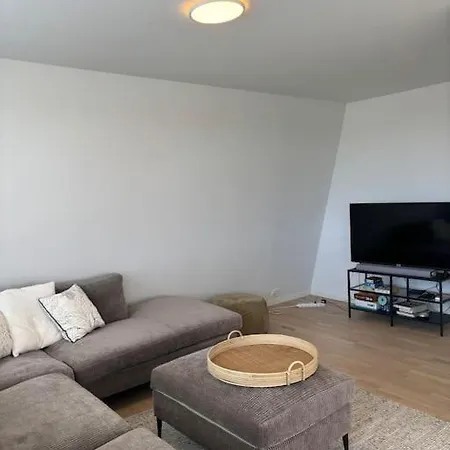 Stor Enebolig Med Treningsstudio Og Terrasse *