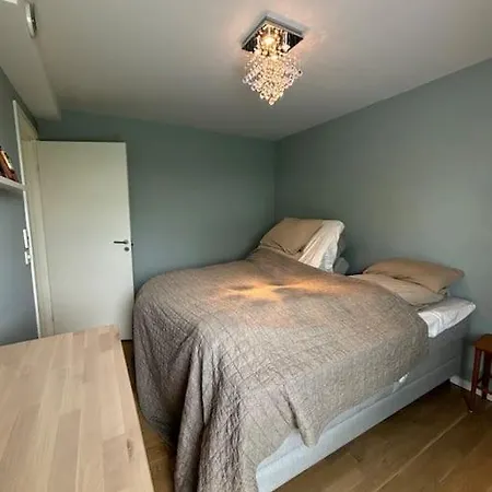Stor Enebolig Med Treningsstudio Og Terrasse 度假居 *